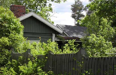 Hyrylän tuntua. 216_C_pihamokki_SDC11450.