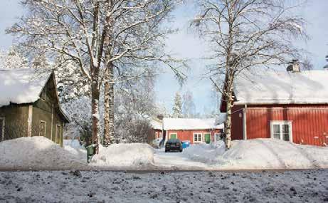 parhaimmillaan. 43_M_U_N_mannikko_IMG_3960.