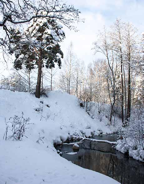 jpg Tuusulanjoenpuistoa talvella.