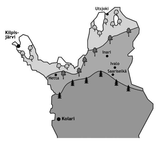 METSÄNRAJATUTKIMUS Metsänrajan seurantatutkimus käynnistettiin vuonna 1983 Metsäntutkimuslaitoksen sekä Helsingin, Turun ja Oulun yliopistojen kenttäasemien yhteishankkeena.