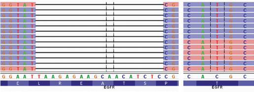 p.glu746_pro753delinsvalser (60 %) p.thr790met (13 %) KUVA 4. Esimerkki EGFR-geenin tuloksesta uuden sukupolven sekvensoinnilla (NGS).