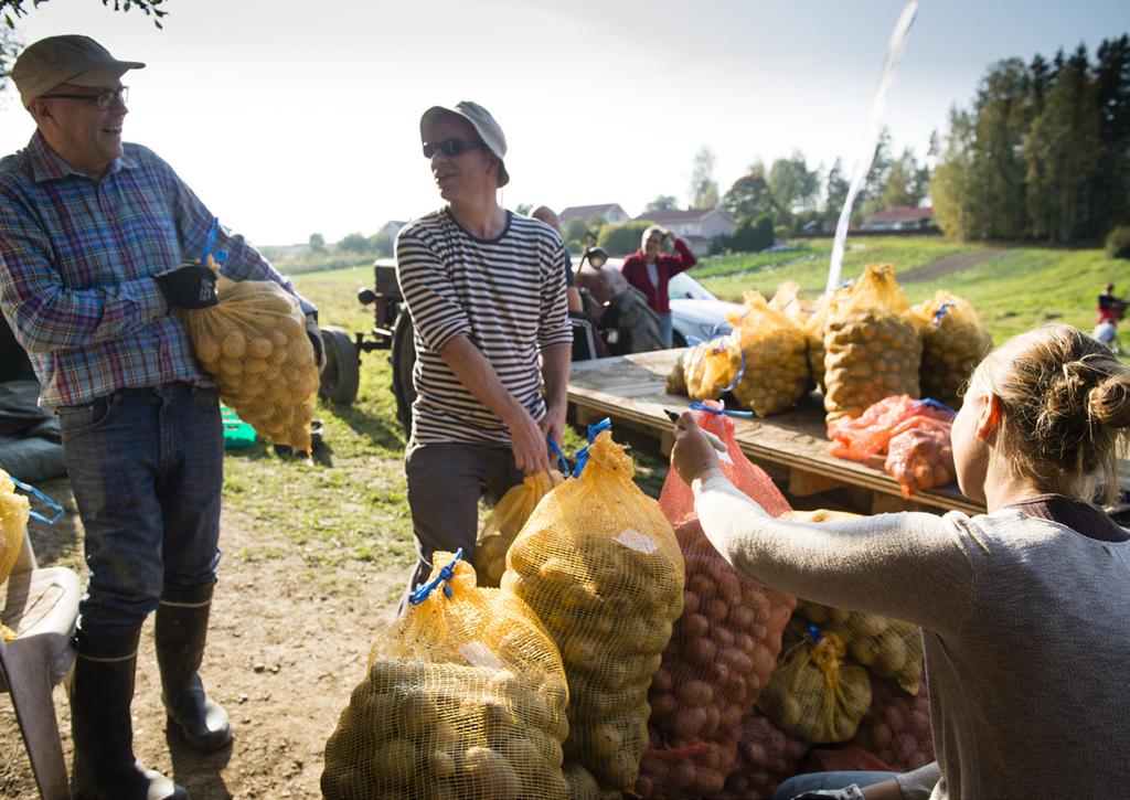 Kaupunkilaisten oma pelto &