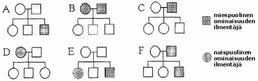 1. Sukupuut Seuraavat ihmisen sukupuut edustavat periytymistä, jossa ominaisuuden määrää yksi alleeli. Päättele sukupuista A-F, mitä periytymistapaa kukin niistä voi edustaa.