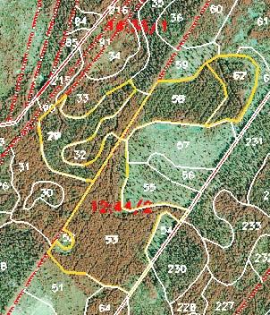 Toimenpiteiden päivitys Metsänkäyttöilmoitus Lakisääteinen ilmoitus + Tehtävä kaikista hakkuista + Kattavasti metsäkeskukselle + Mk-ilmoitus ja metsävaratieto samassa