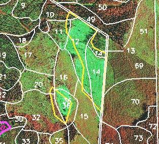 Toimenpiteiden päivitys Ilmakuvat + Kuviorajat sisätyönä juuri kohdalleen + Yhteiskäyttö metsävaratiedon ja muun päivitystiedon