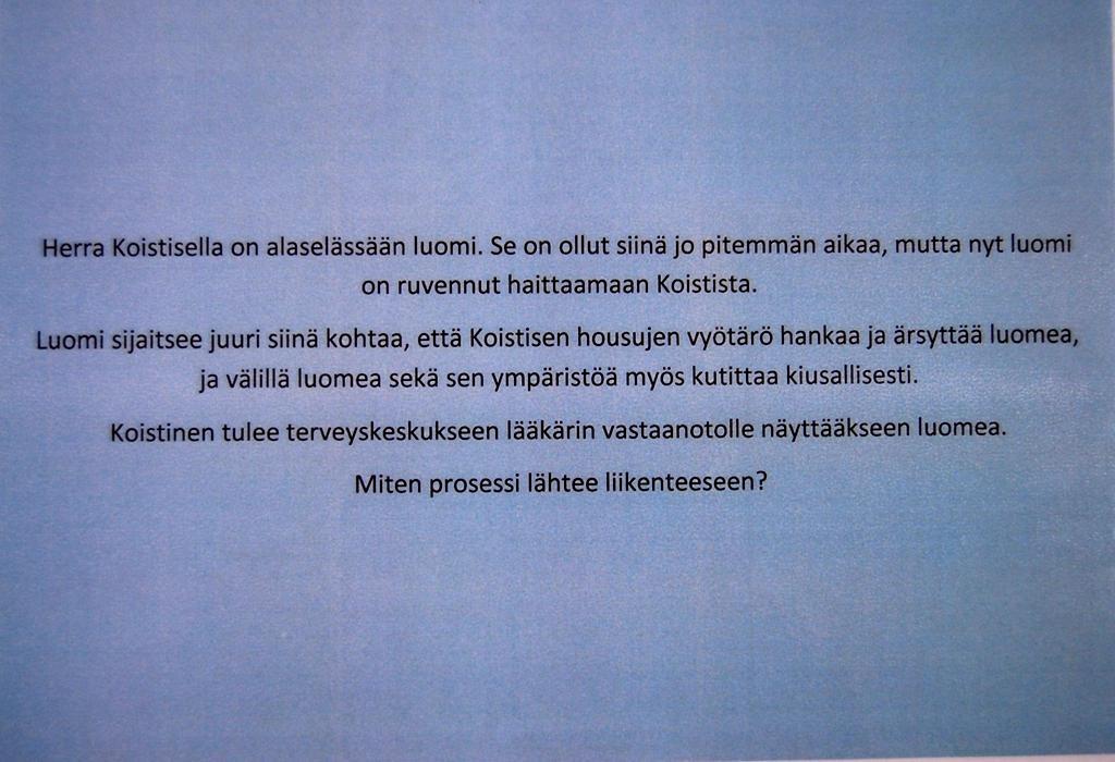 LIITE 4/2