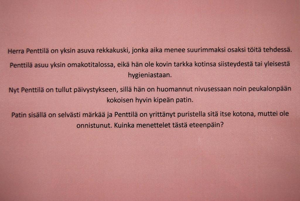 LIITE 4/4