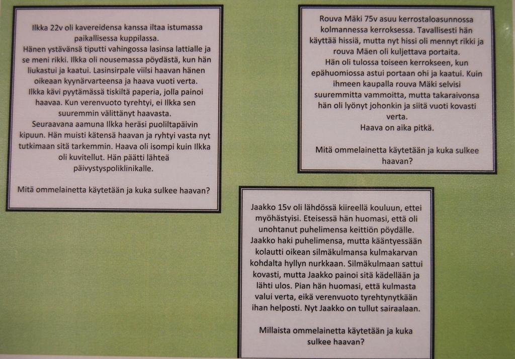 LIITE 4/6
