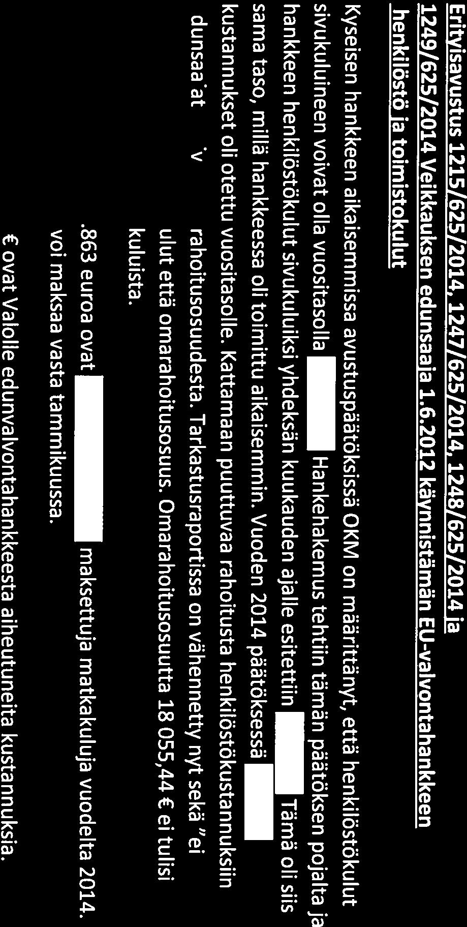 Ministeriön tarkastuksessa on nostettu esille kysymys siitä, miten Valon maksamat esiintyjäpalkkiot 35 600 euroa kategorisoituvat hakemuksen mukaisiin tarkoitusperiin.