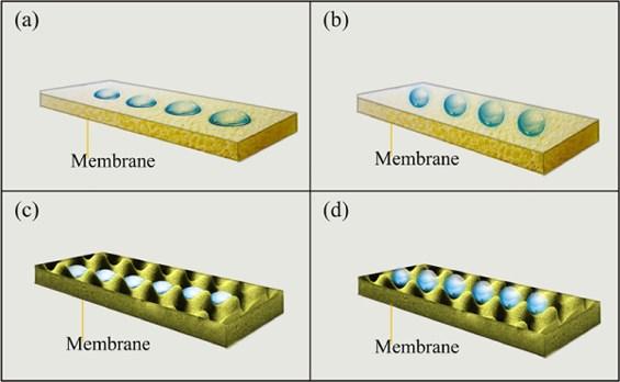 39 Kuva 8. Kalvopinnan hydrofiilisyys ja morfologia. (a) on hydrofiilinen ja sileä, (b) on hydrofobinen ja sileä, (c) on hydrofiilinen ja karhea ja (d) on hydrofobinen ja karhea. (Jiang et al.