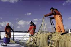 kalatalous Jord- och skogsbruk samt fiske Agriculture,