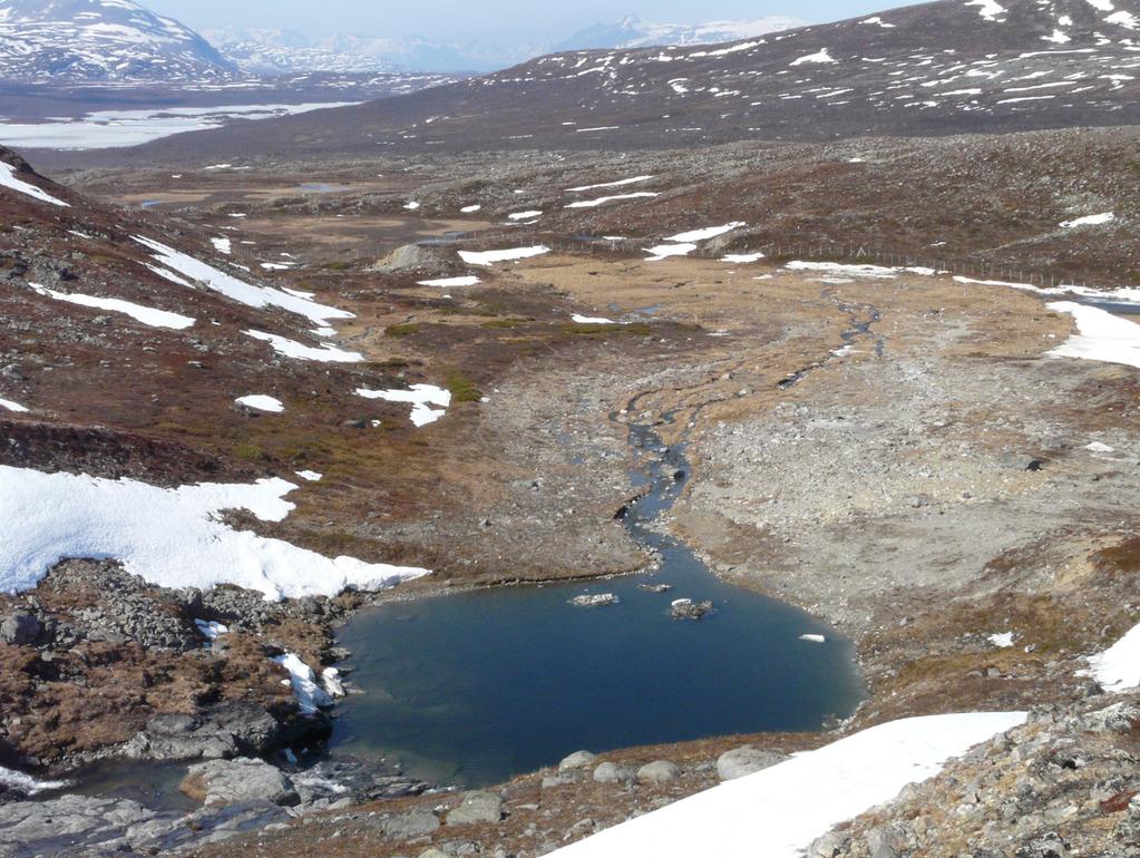 Kuva 6. Leenanlampea (650 m mpy, 1400 m², maksimisyvyys 5 m) ja sen pientä rautu- eli nieriäpopulaatiota on tutkittu Norjassa lähellä Kilpisjärveä vuosina 2009-2015 (Shikano ym. 2015).