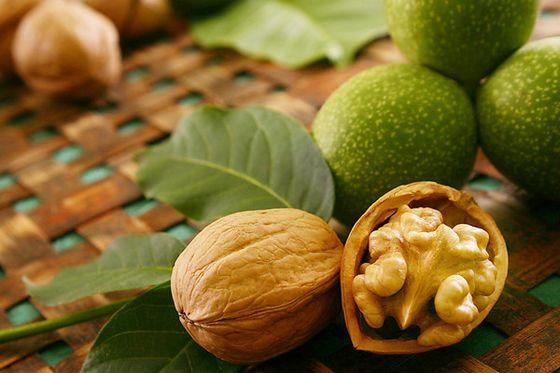 Paras hyödyllinen ruoka Pähkinä Mitä pähkinät ovat hyödyllisiä - ei aiheuta epäilyksiä. Mestari pähkinät tunnustettu saksanpähkinä.