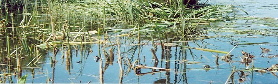 kunnostusohjelma 2005