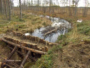 Muut työt 1. Vertinsuon ennallistaminen 2005 Haukivuorella sijaitsevaa Vertinsuoaluetta ennallistettiin. Suolle on joskus kaivettu avo-oja.