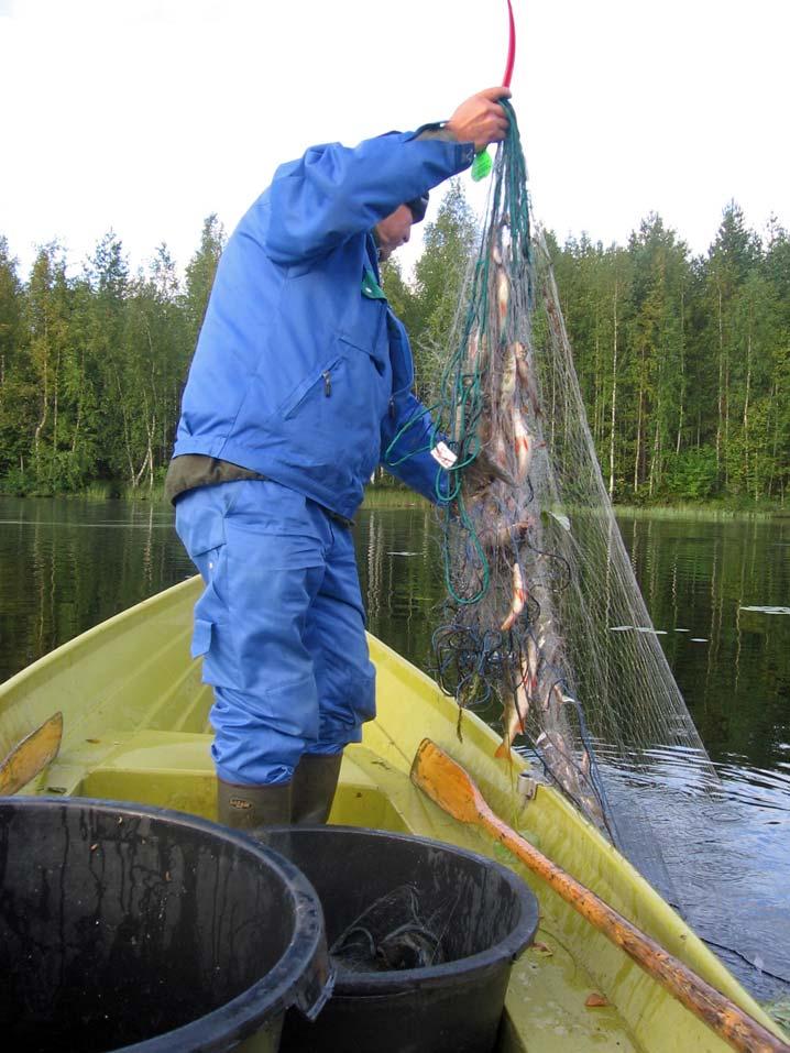 Maahjärvellä (Oiva