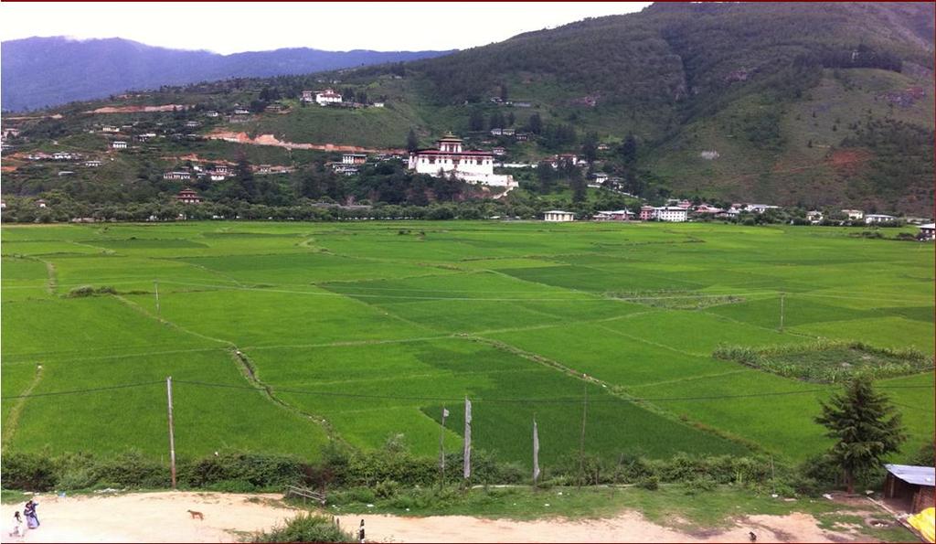 Bhutanin kansanonnellisuusperiaatteiden soveltaminen opetukseen ja kestävän kehityksen opettamiseen Tutkimuksen taustaa: Työ Nepalissa 2001-2003 ja 2008 2009 Työjakso Bhutanissa 2009 perusopetuksen