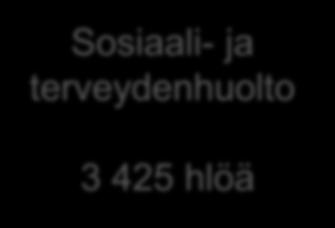 terveydenhuolto 3 425 hlöä