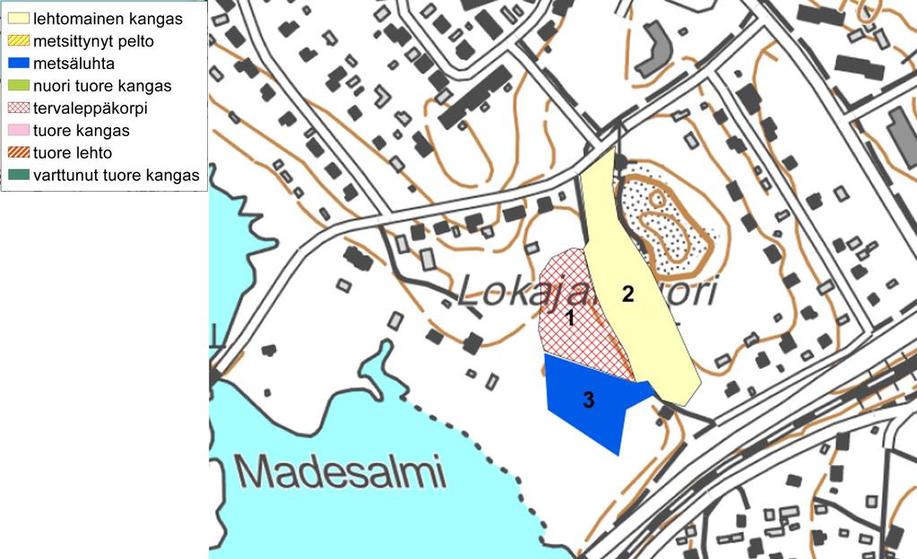 Hirssaaren ja Lokajanvuoren alueet Hirssaaressa Salakanniemen ja Madesalmen välinen alue on vahvasti ihmisen muokkaamaa.