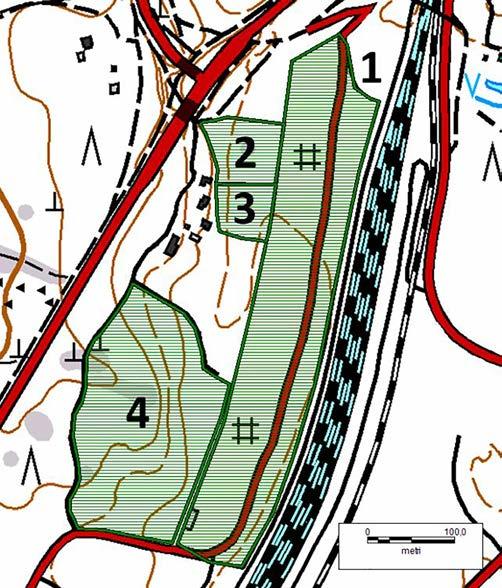Mussalossa tienvarren metsät ovat pääasiassa eri-ikäisiä tuoreita kankaita (kuva 37). Lehtomaisia kankaita esiintyy ainoastaan lähempänä junarataa (kuviot 9 ja 10).