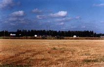 metsän rajaan.