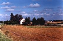 rakennettuja. Etelästä näkymä kohti Koskenkorvaa Lounaasta 23.