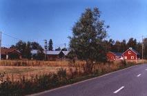 Koivukuja Pirilän kylän