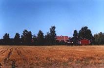 Ennen Alajoen lakeuksien