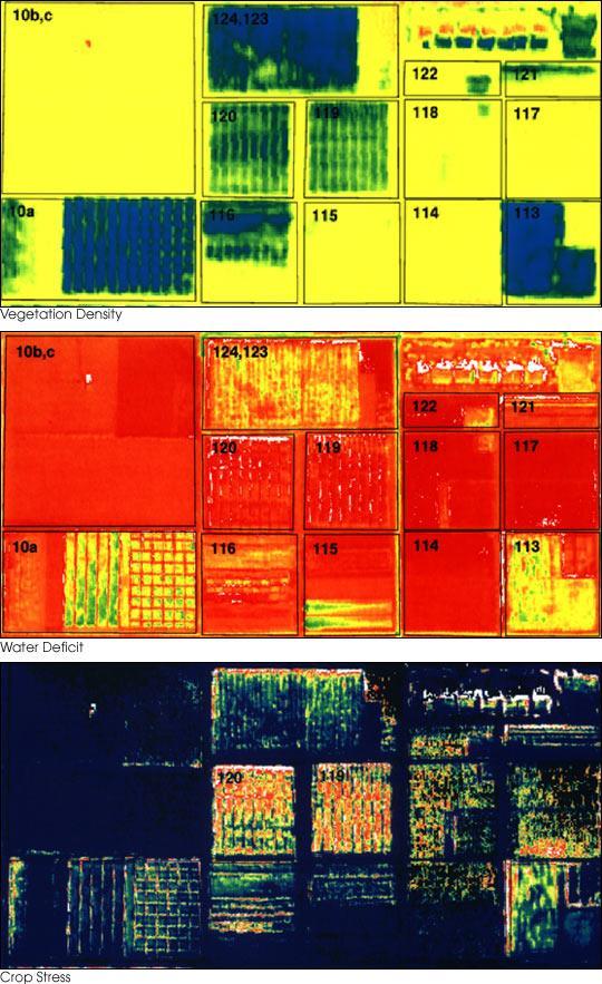 False-color images demonstrate