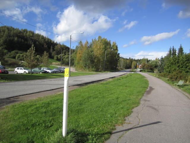 Naapuripellontie, Neulastie pyörätien reuna Viherkaistale