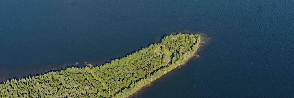 arviointisuunnitelma nähtävillä: 7.