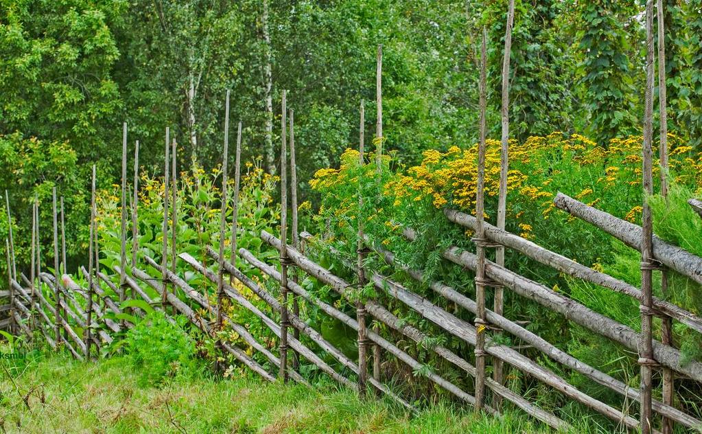 Riukuaitaa.jpg Kuva toimii ja kulkee, mutta kaipaisin lisää vahvuuksia.