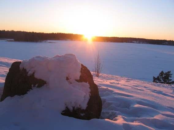 Pink snow 1.JPG Pink snow 2.JPG Pink snow 3.