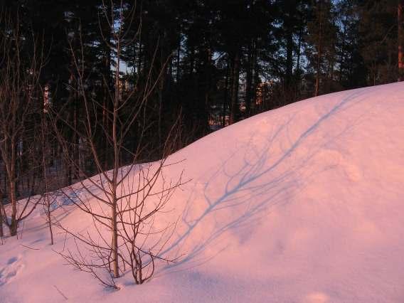 sitten käännytty ottamaan kuva kolmesta suunnasta.