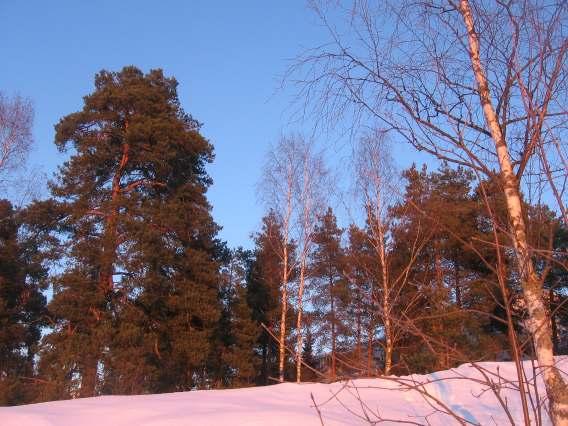 yhtenäinen aihe.