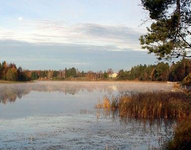 Osallistuminen sallittua!