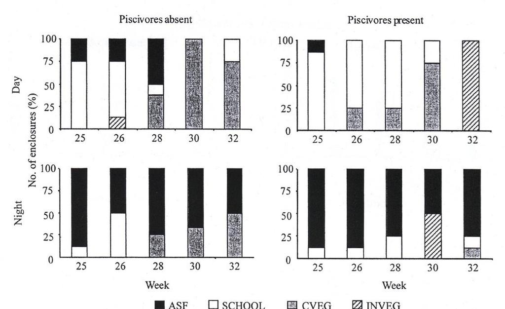 Ei vaikutusta Cladoceraeläinplanktonin biomassaan Ahven läsnä: 0+ särki oli tiiviissä parvissa tai kasvillisuuden suojassa päivällä, aktiivinen yöllä Käyttäytymiskaskadi huippupedosta