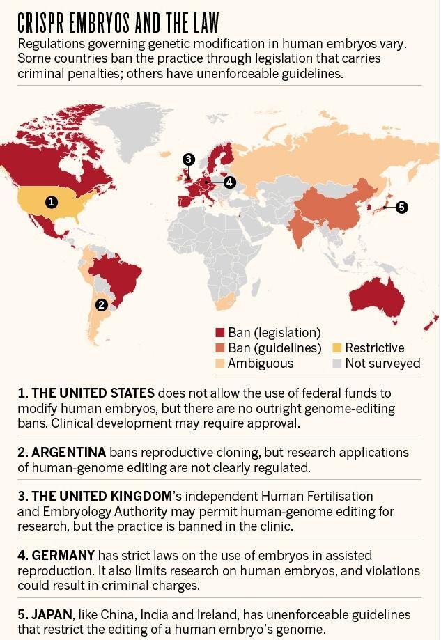CRISPR ja ihmisen ituradan editointi Lainsäädäntö vaihtelee Useissa maissa täysin kielletty