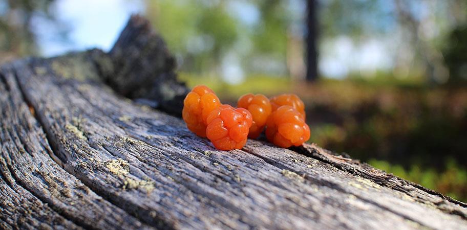 Viennin hot spotit: Eurooppa Saksa Kysyntä: 80 milj.