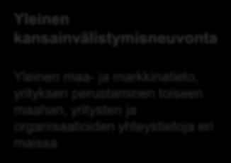 hankinnat Yleinen kansainvälistymisneuvonta Yleinen maa- ja markkinatieto, yrityksen