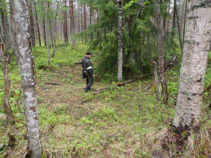 116 rekisterinro: Olotila: Arvotus: 3 Esitys mj-luokka II Kohteen 2 Ei käytössä 9 Muu