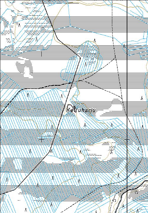 195 Kohdetyyppi: 9 Valmistuspaikat/työpaikat Copyright: Metsähallitus 2008