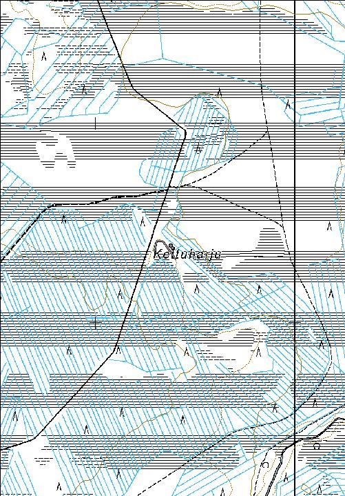 198 Kohdetyyppi: 1 Asuinpaikat Copyright: Metsähallitus 2008