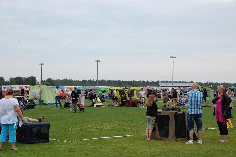 KOKEET: Linnunhaukkukokeita Dreeverien ajokokeita Hirvenhaukkukokeita Kansainvälinen hirvenhaukkukoe Ajokokeita Agility -kokeet KOULUTUS: Näyttely