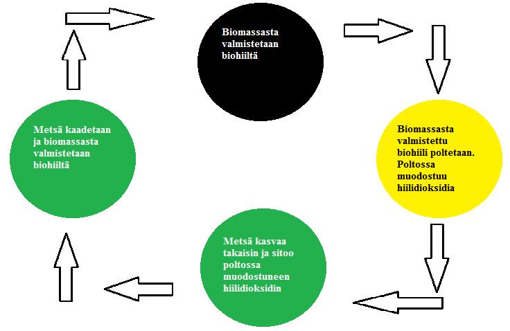 3 BIOHIILI Biohiilellä tarkoitetaan kiinteää polttoainetta, joka tehdään biomassasta kuumentamalla sitä hapettomassa tilassa. Näin biomassasta saadaan tehtyä hiiltä.