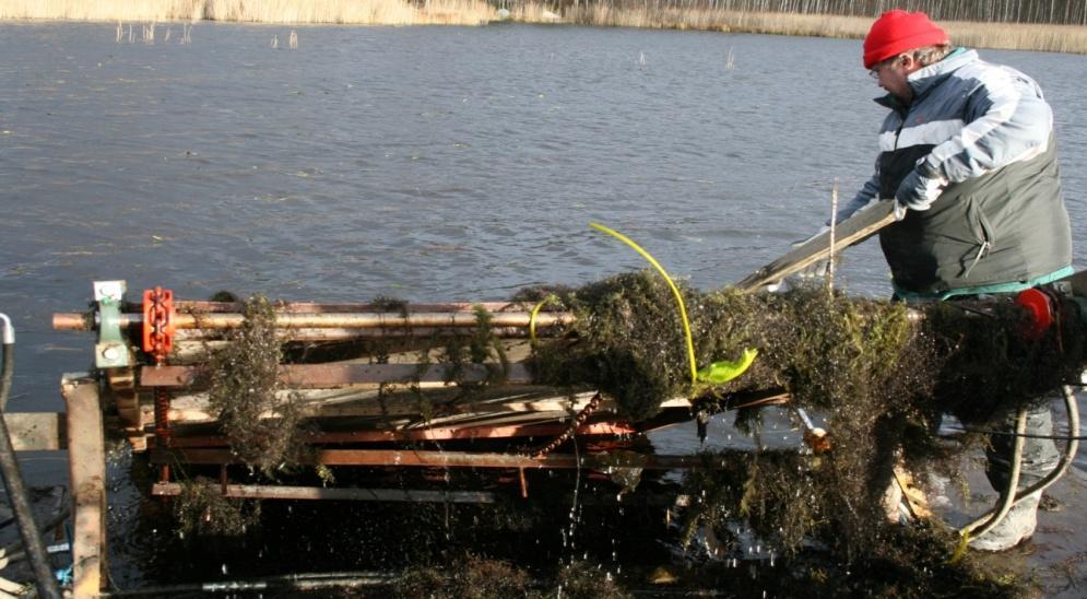 latvajärvi - toimenpiteet mittakaavaltaan paikallisin voimin toteutettavissa - hoitokalastukset - rantojen kunnostus - niitot, uposkasvillisuuden poisto - suunnitelman, luvituksen ja sopimukset