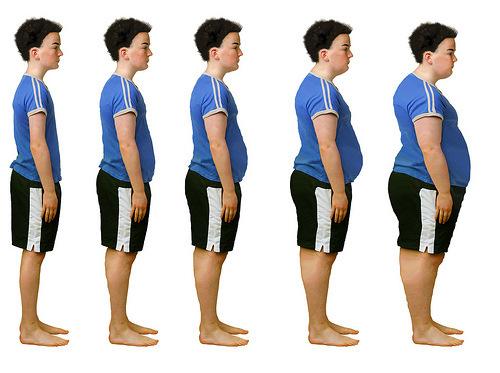 17 cm, alle 73 kg Ylipaino 25-3 17 cm, 73-87 kg Lihavuus >3 17 cm, yli 87 kg The evolution of mankind.