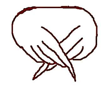 YHTEEN KIETOUTUNEET ENKELIN SIIVET SYMBOLI Tämä symboli edustaa ympärillesi kietoutuneita enkelin siipiä. Kuvittele mielessäsi kuka tahansa tai mikä tahansa eläin, kasvi jne.