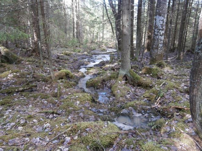 Lisäksi ojaan asennettiin maanomistajan hankkima rumpu ajouran kohdalle. Rinteen kohdalle jätettiin noin 40 metriä pitkä kaivukatko.