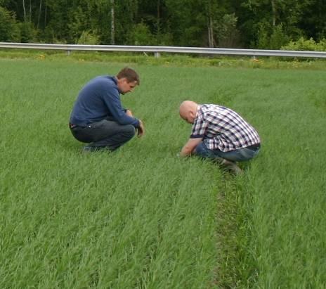 Ilmankosteus Sademäärä Lämpötila Varoitus riskistä: Kohtalainen Suuri